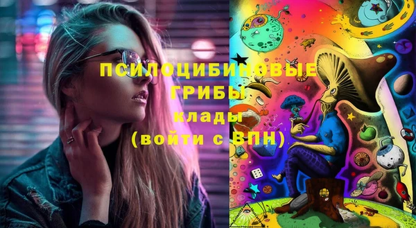 2c-b Елабуга