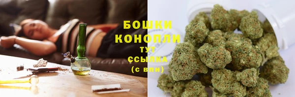 молекула духа Ельня