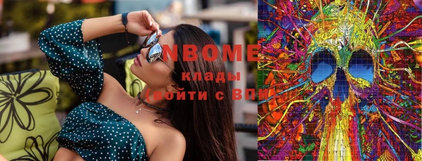 молекула духа Ельня