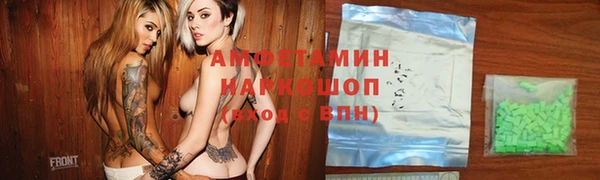 молекула духа Ельня