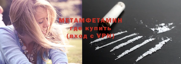 молекула духа Ельня