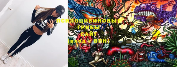 спайс Елизово