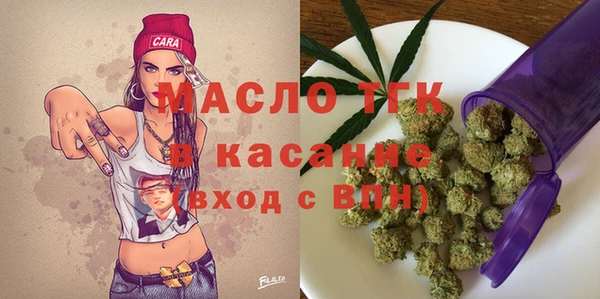 молекула духа Ельня