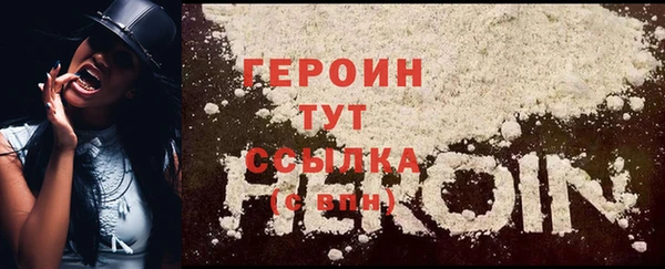 молекула духа Ельня