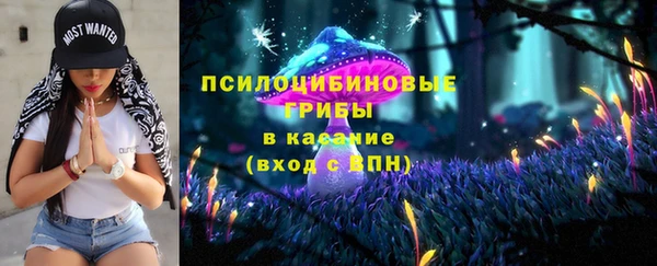 2c-b Елабуга