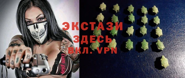 молекула духа Ельня