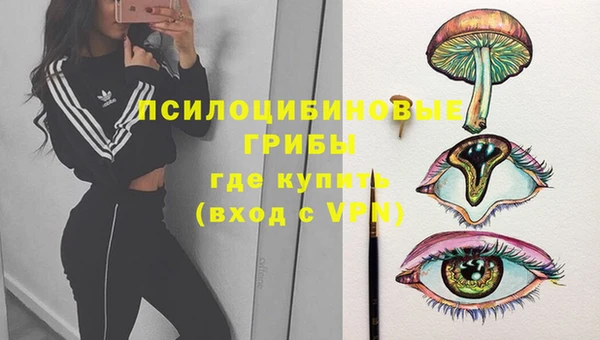 2c-b Елабуга