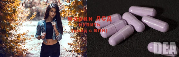 молекула духа Ельня